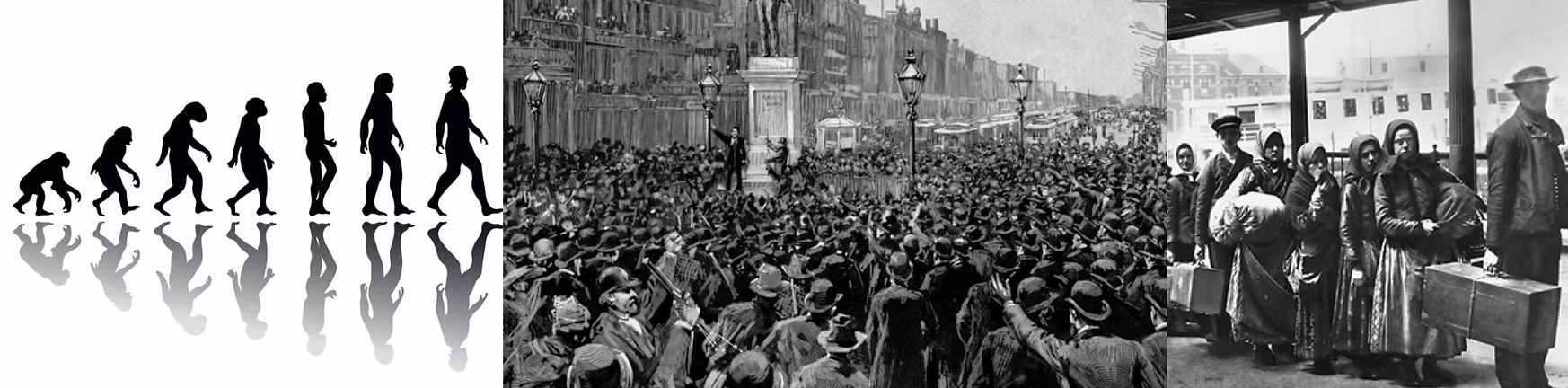 education and academics at the joint civic committee of italian americans - cultural units and studies